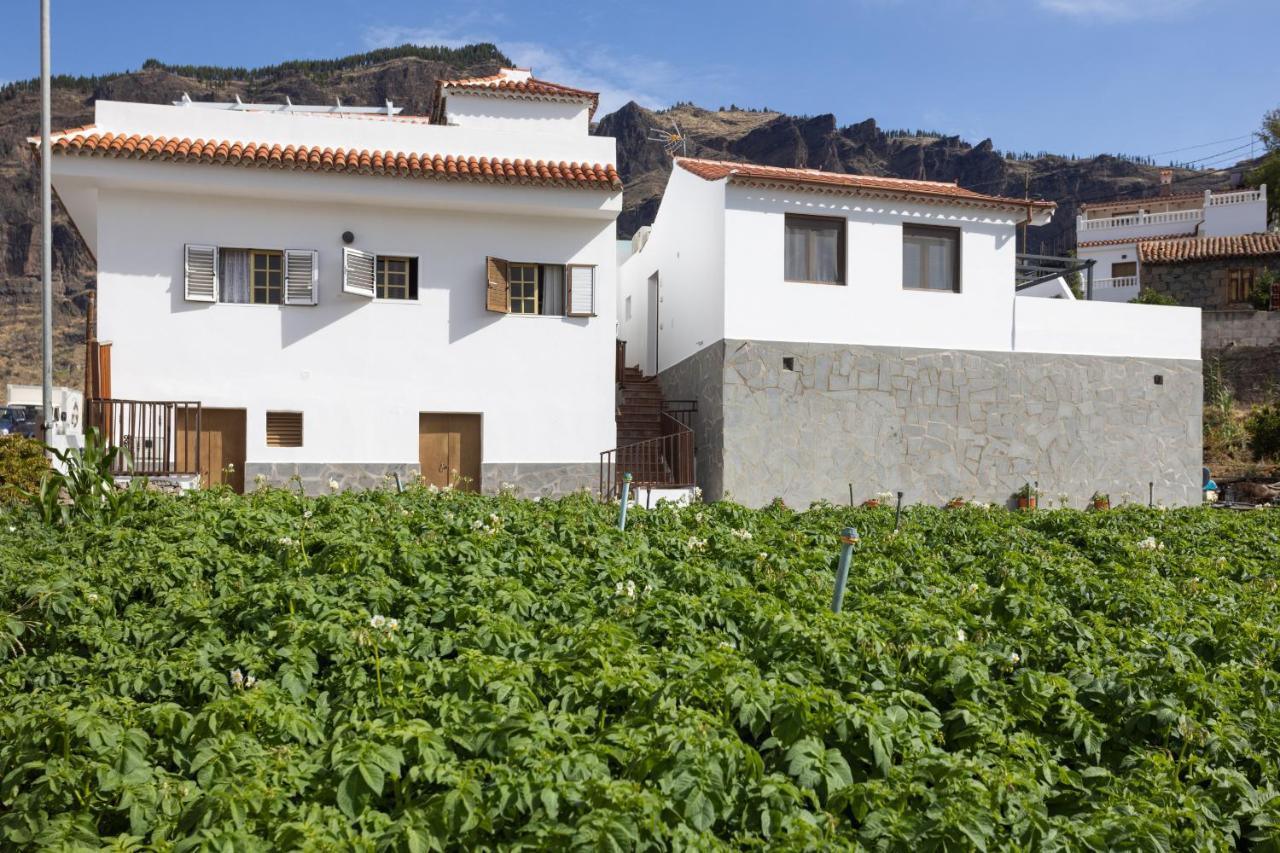 Casa Maria With Roque Nublo View Apartment Tejeda  Bagian luar foto